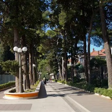 Anna Guest house