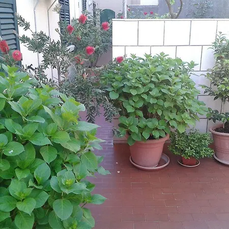 Anna Guest house Dubrovnik